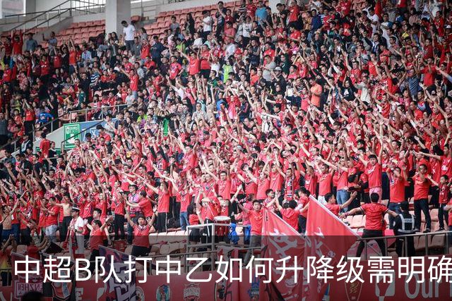 中超B队打中乙如何升降级需明确 U21联赛应改制