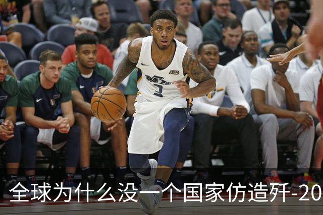 全球为什么没一个国家仿造歼-20，瑞典已破译！
