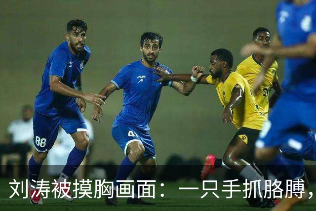 刘涛被摸胸画面：一只手抓胳膊，一只手顶住她的胸！
