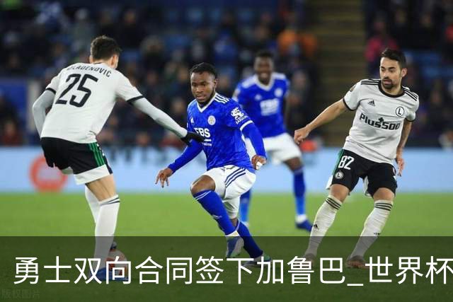 勇士双向合同签下加鲁巴 世界杯场均8分4篮板