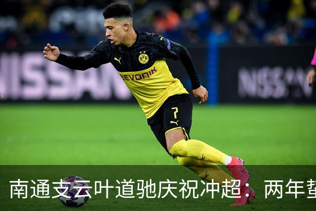 南通支云叶道驰庆祝冲超：两年蛰伏，现在还不能从亢奋中醒来