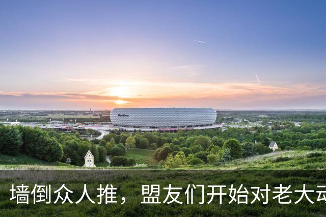 墙倒众人推，盟友们开始对老大动手了