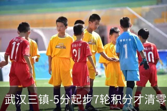 武汉三镇-5分起步7轮积分才清零，经历10场不胜及10轮1胜后降级