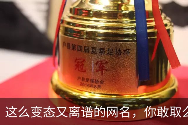 这么变态又离谱的网名，你敢取么？网友：每个网名的信息量都好大