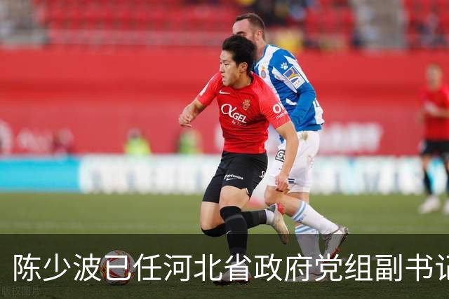 陈少波已任河北省政府党组副书记