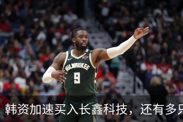 韩资加速买入长鑫科技，还有多只半导体龙头也获加仓