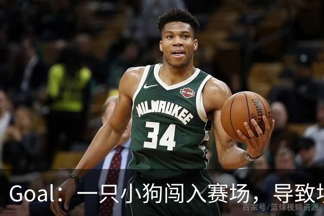 Goal：一只小狗闯入赛场，导致埃及联赛中断